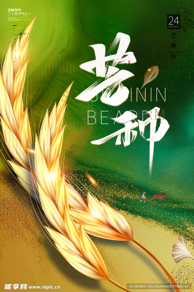芒种海报