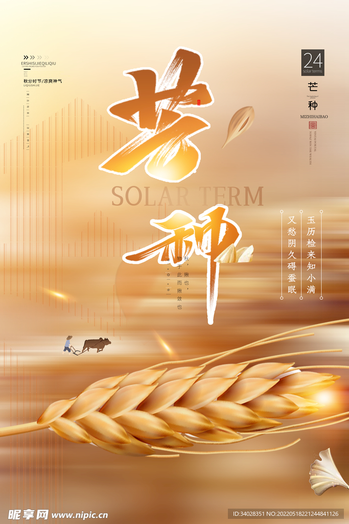 芒种海报