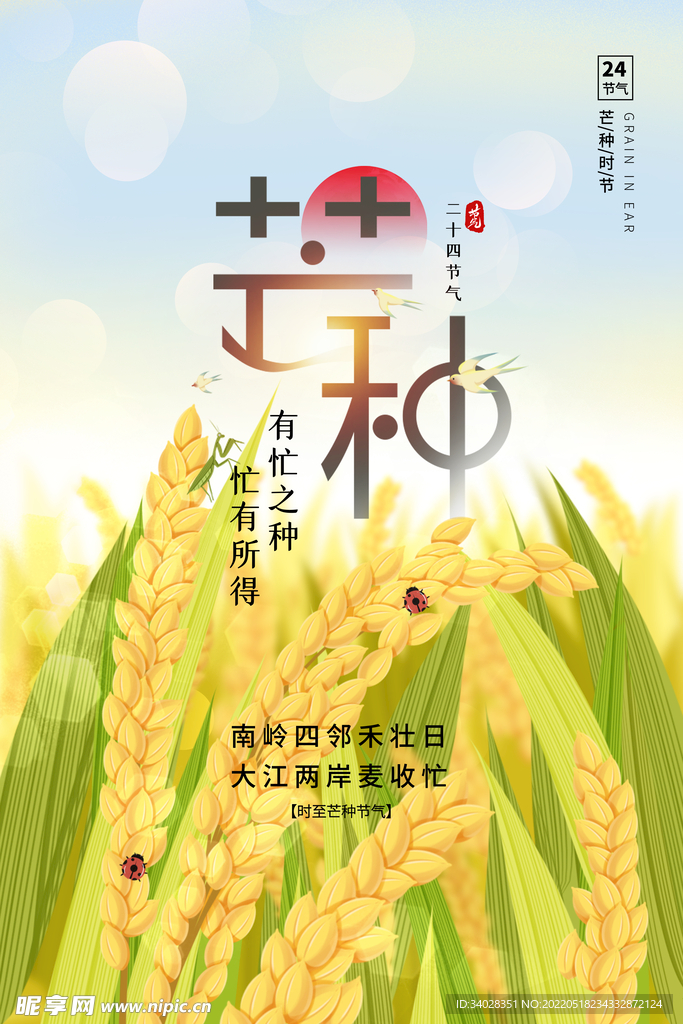 芒种海报