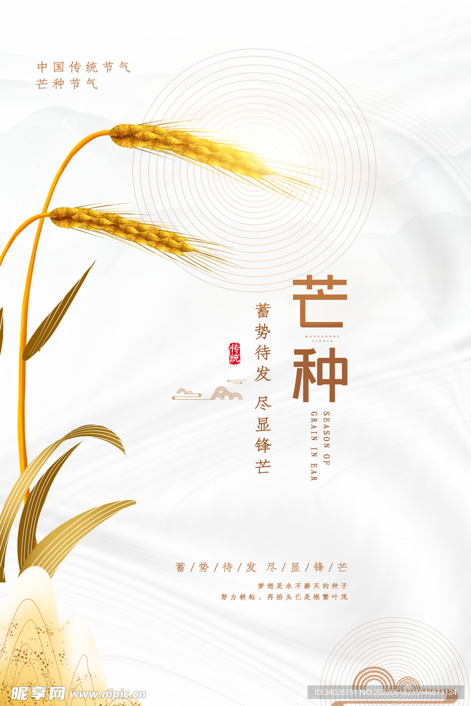 芒种海报