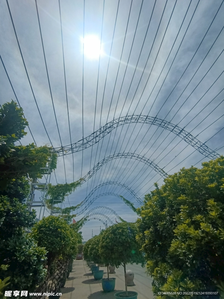 正午太阳