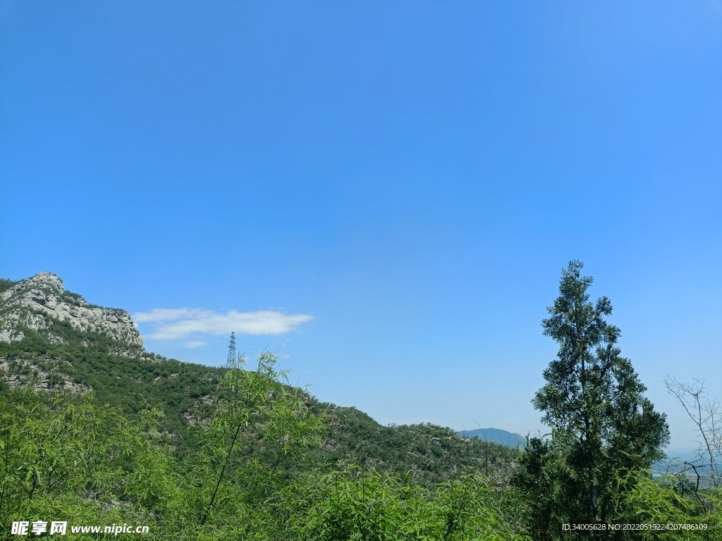 天空松树山