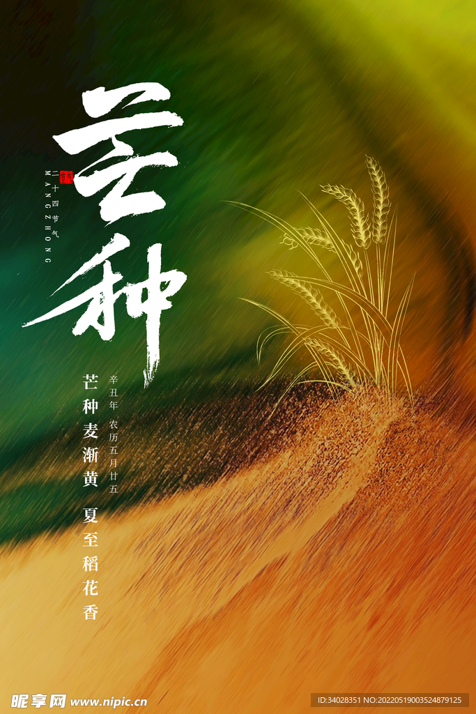 芒种海报