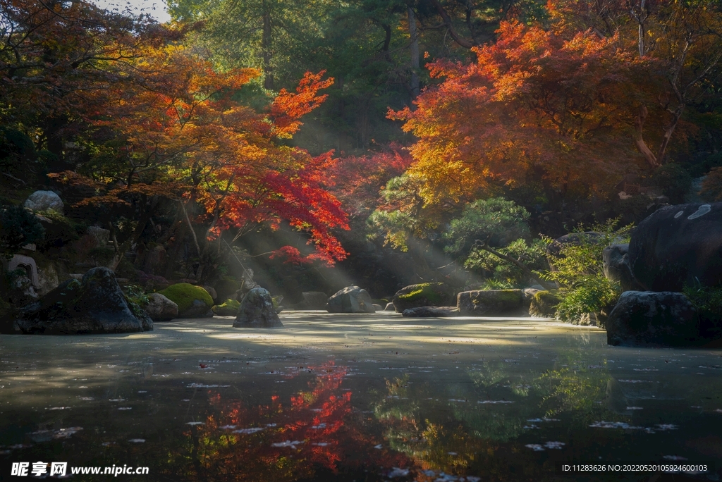 池塘湖岸风光摄影