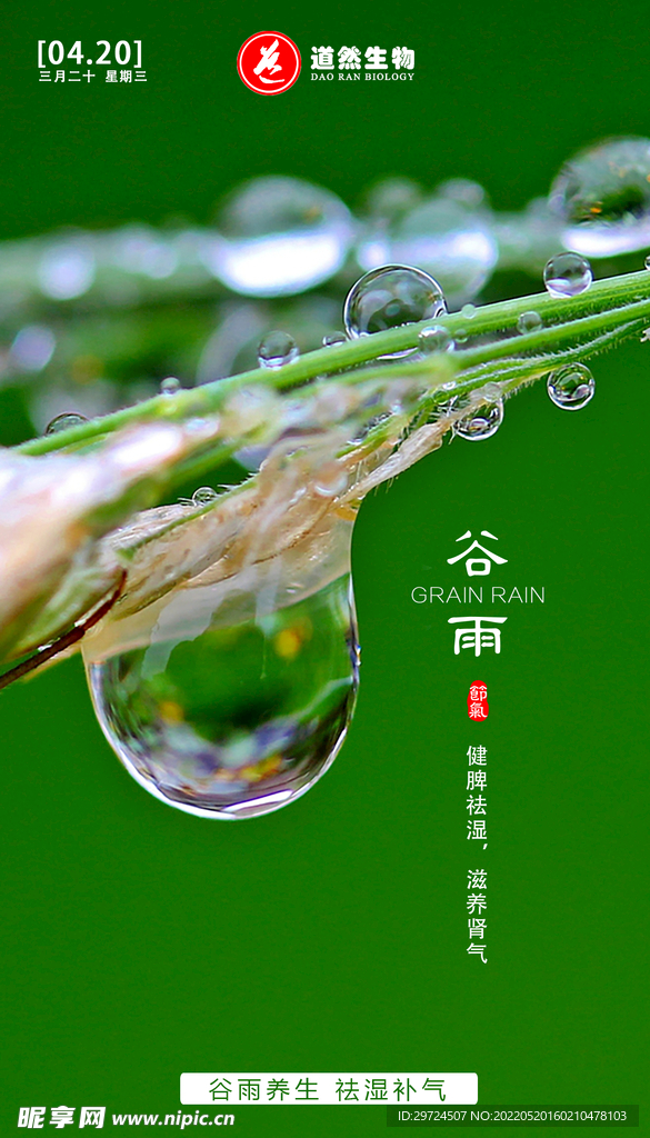 谷雨节气海报