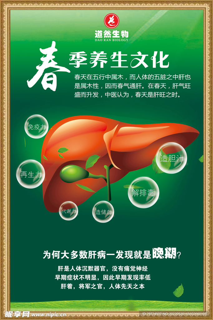 养肝海报