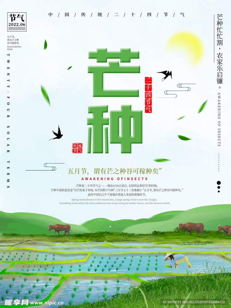 芒种海报