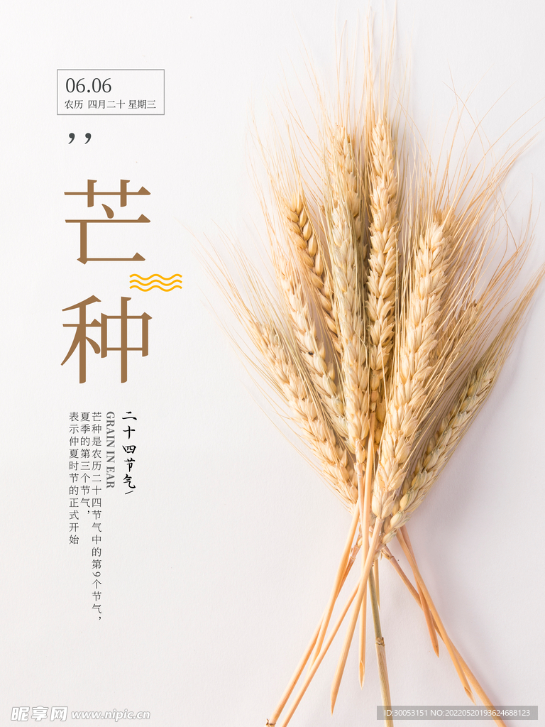 芒种海报