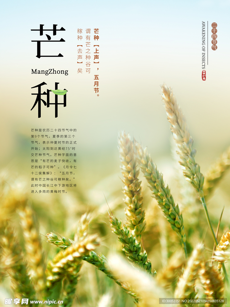 芒种海报