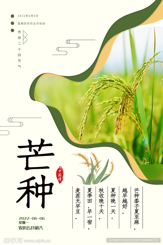 芒种海报