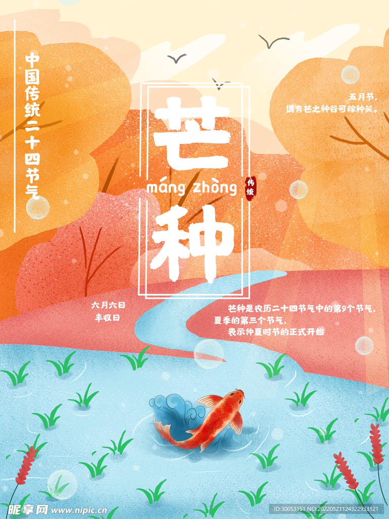 芒种海报
