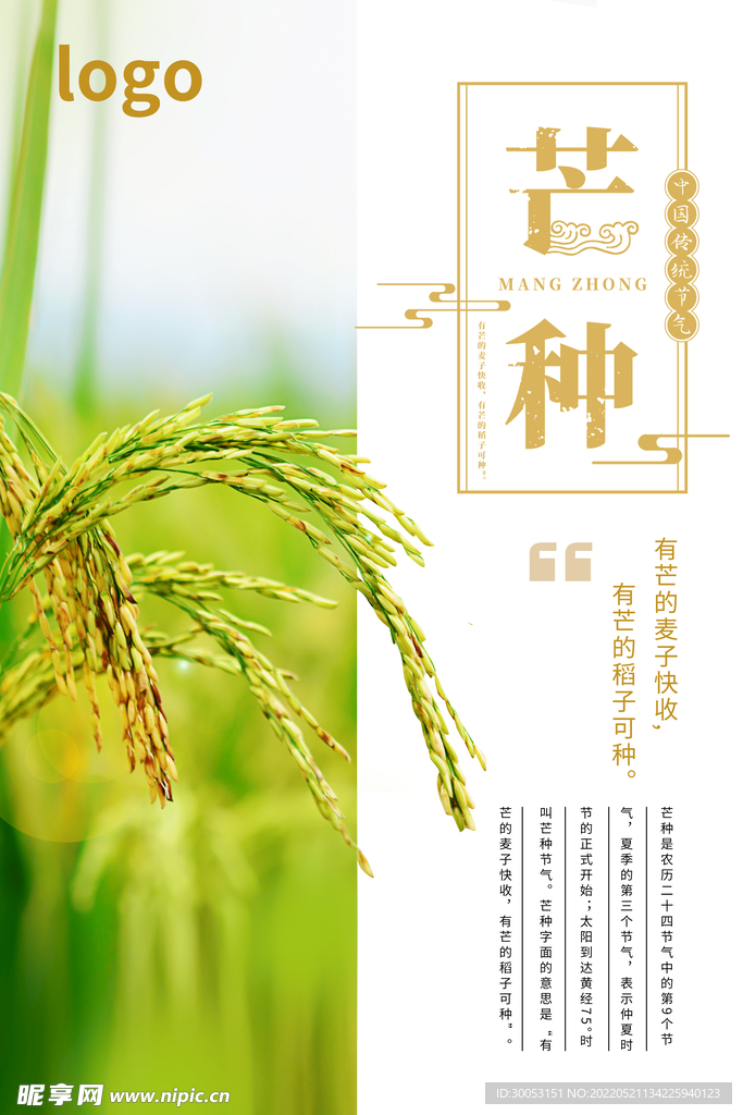 芒种海报