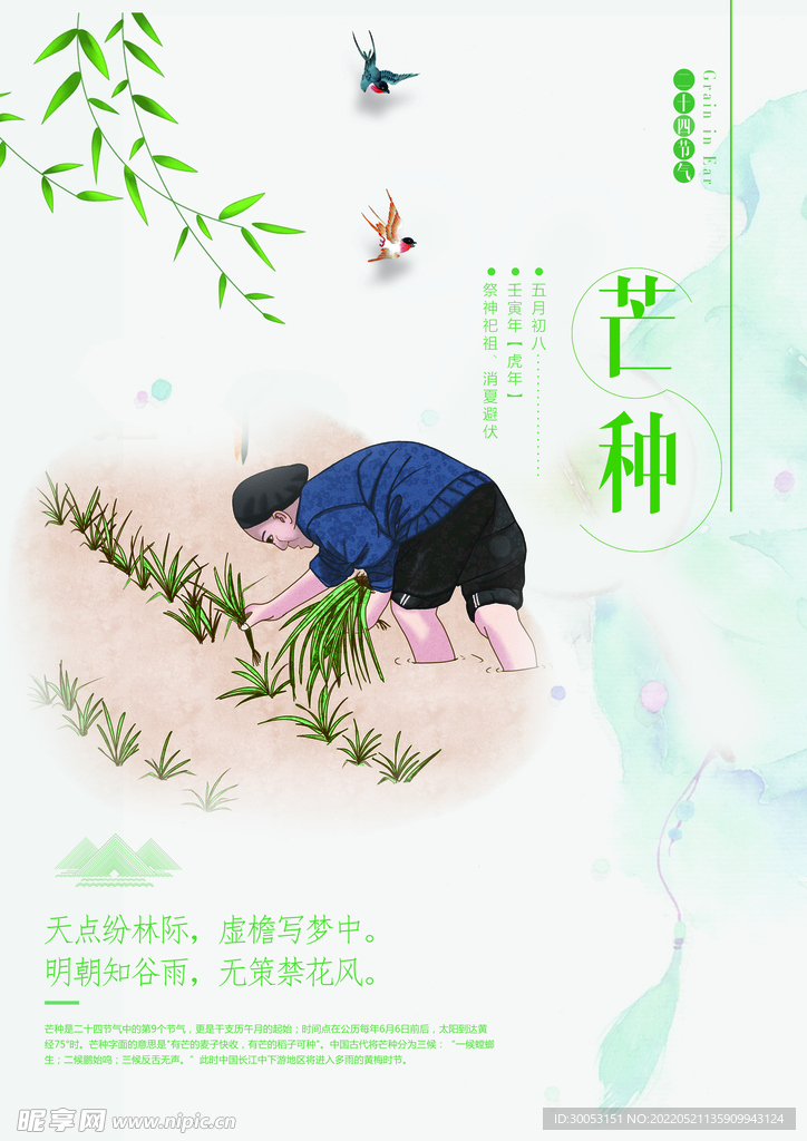 芒种海报