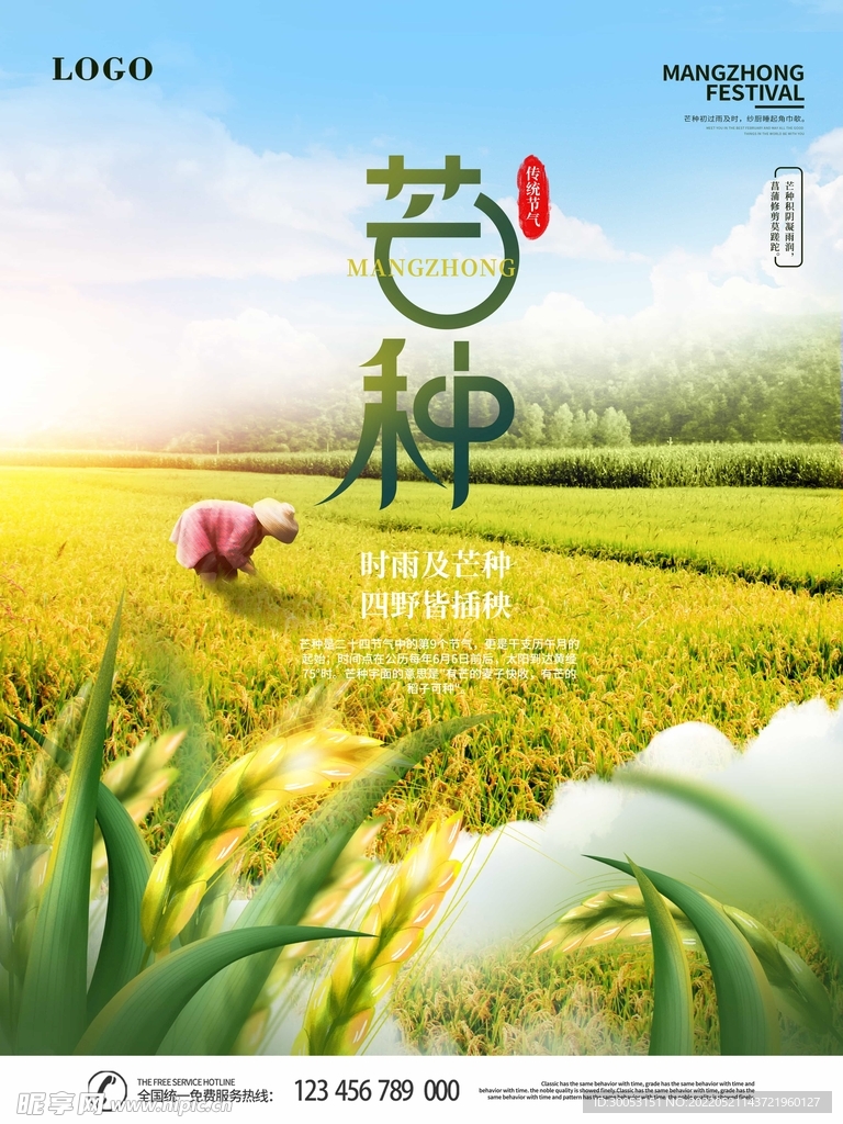 芒种海报