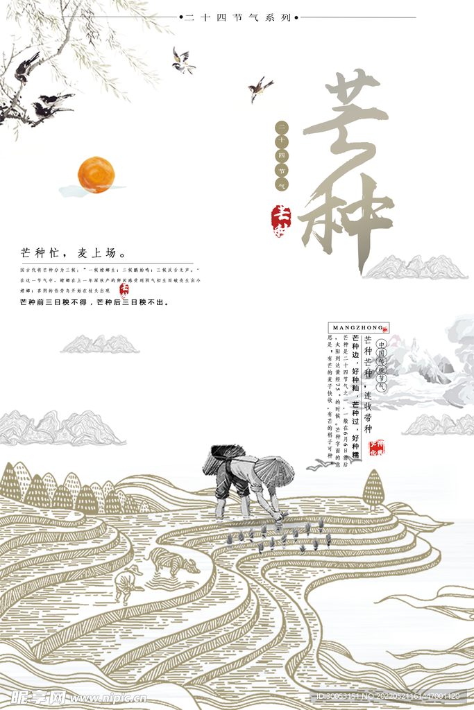 芒种海报