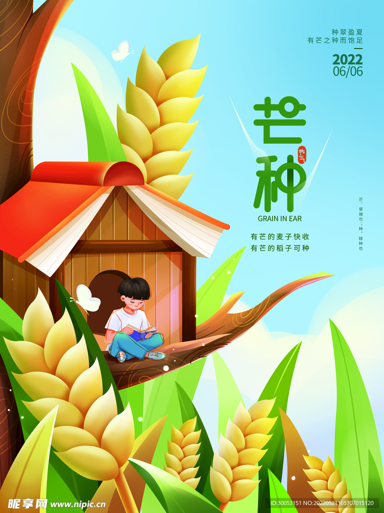 芒种海报