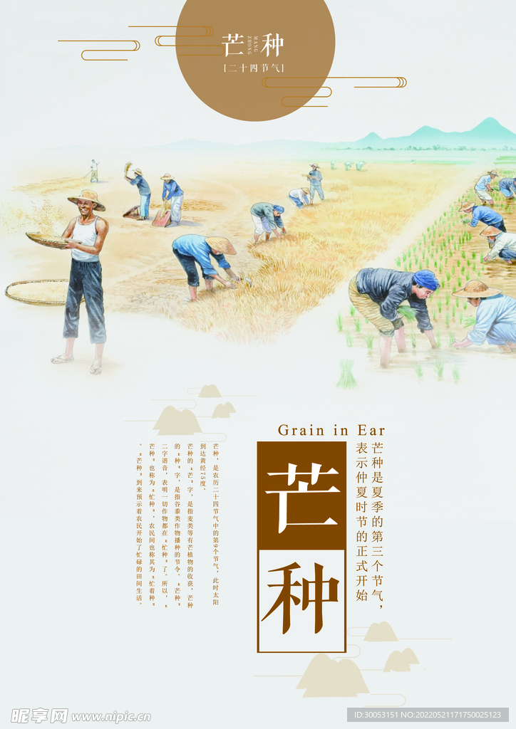 芒种海报