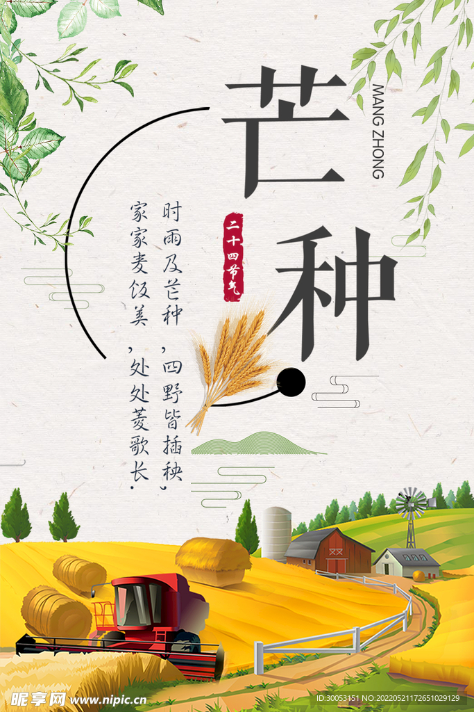 芒种海报