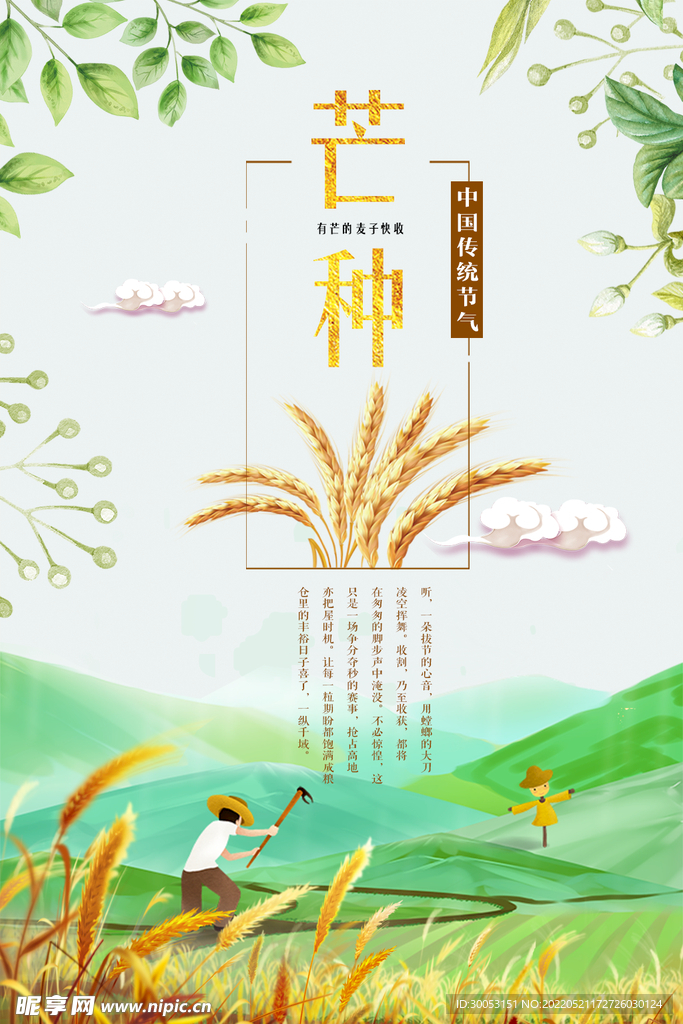 芒种海报