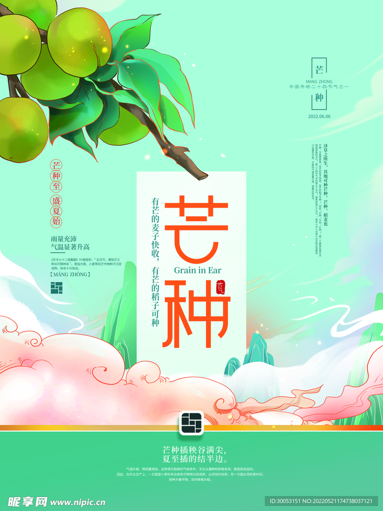 芒种海报