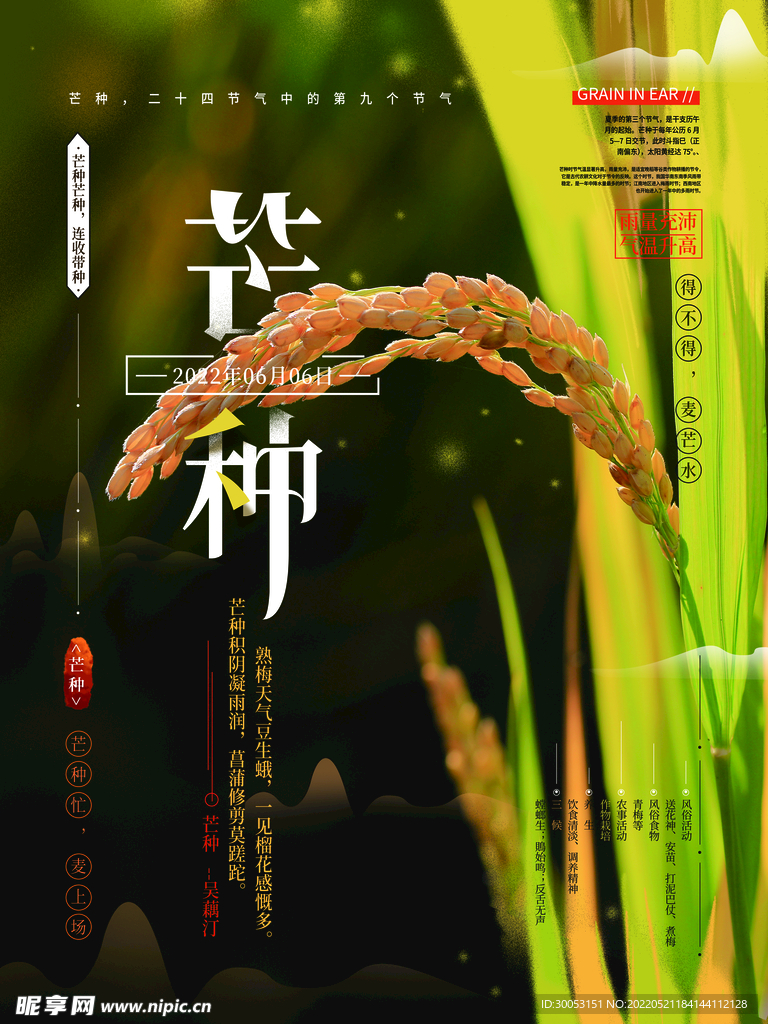 芒种海报