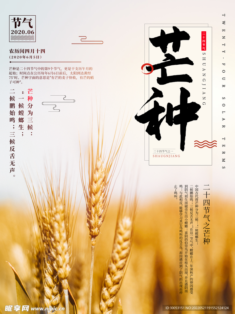芒种海报
