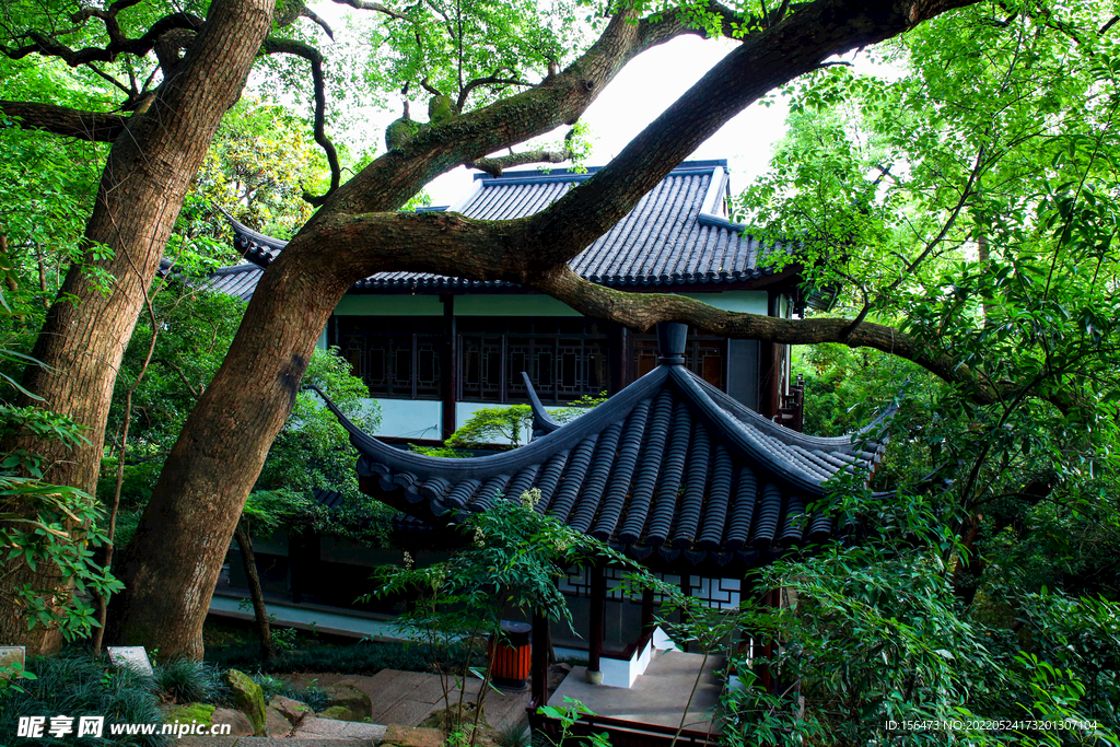 西湖风景