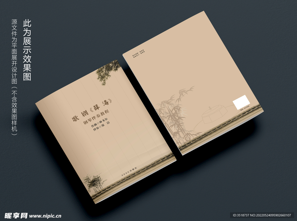 钢琴伴奏音乐书籍封面