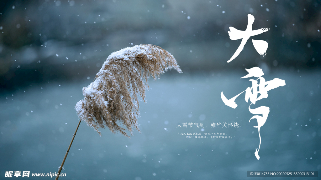 大雪节气海报