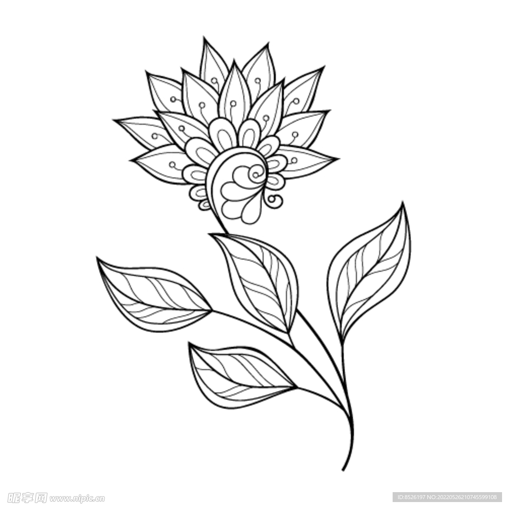 欧式花纹