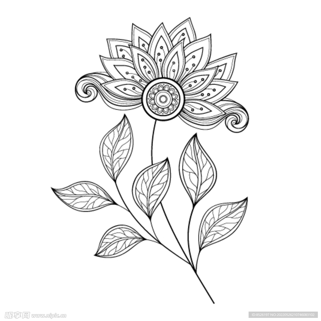 欧式花纹