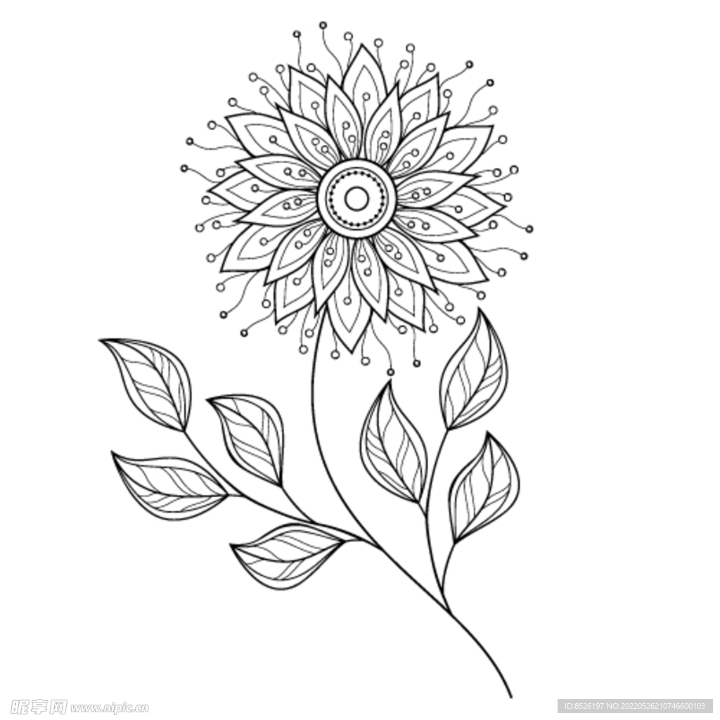 欧式花纹