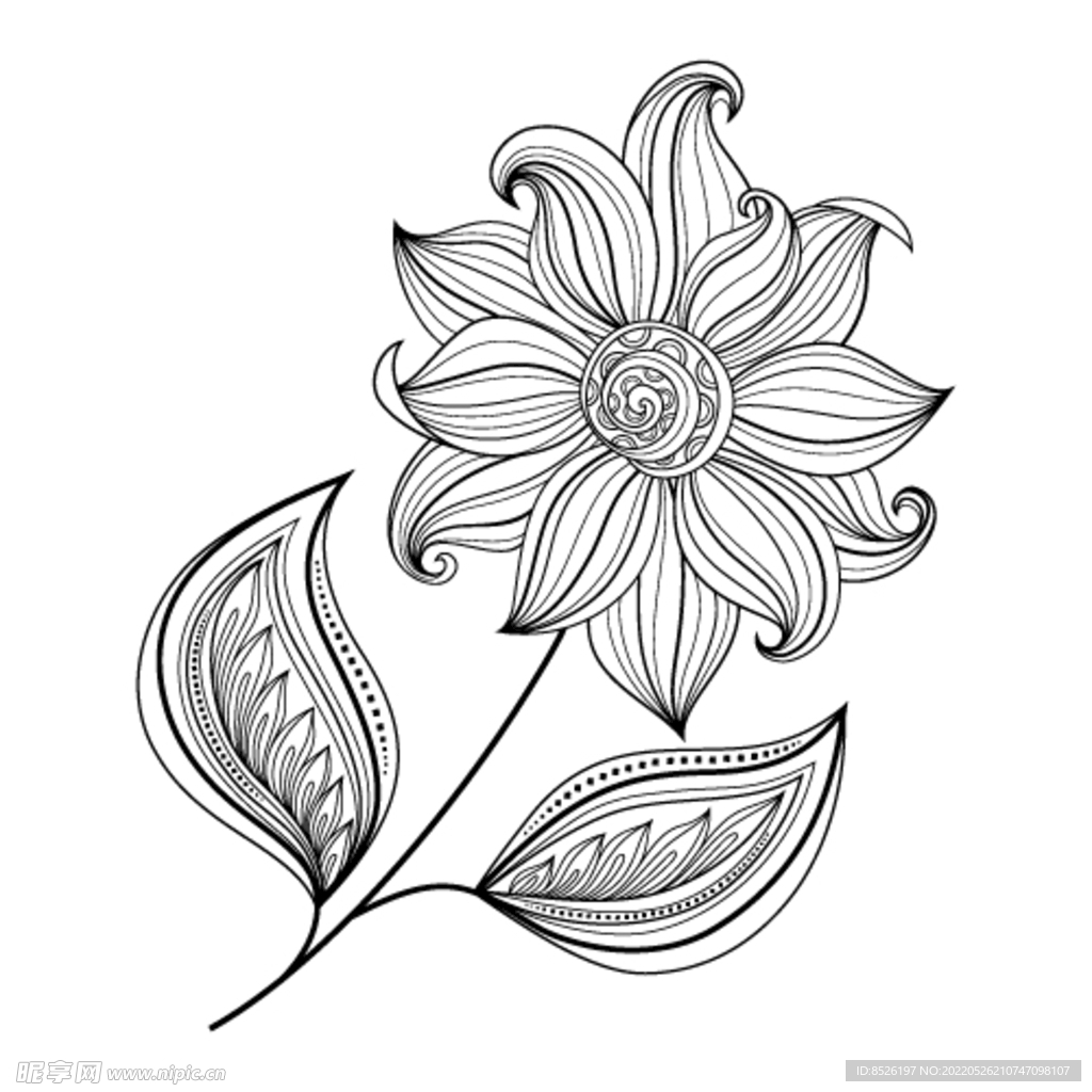 欧式花纹