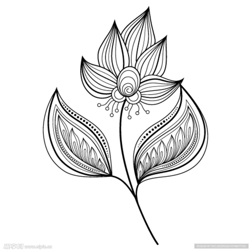 欧式花纹