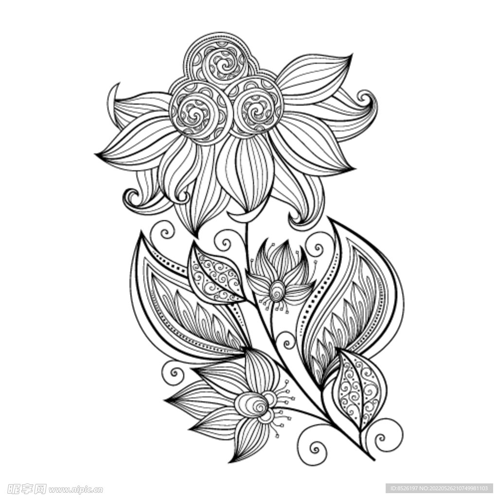 欧式花纹