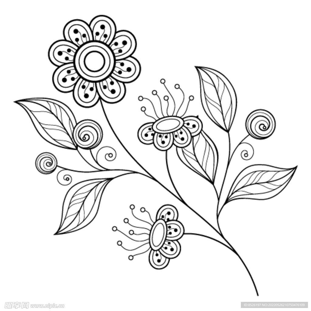 欧式花纹