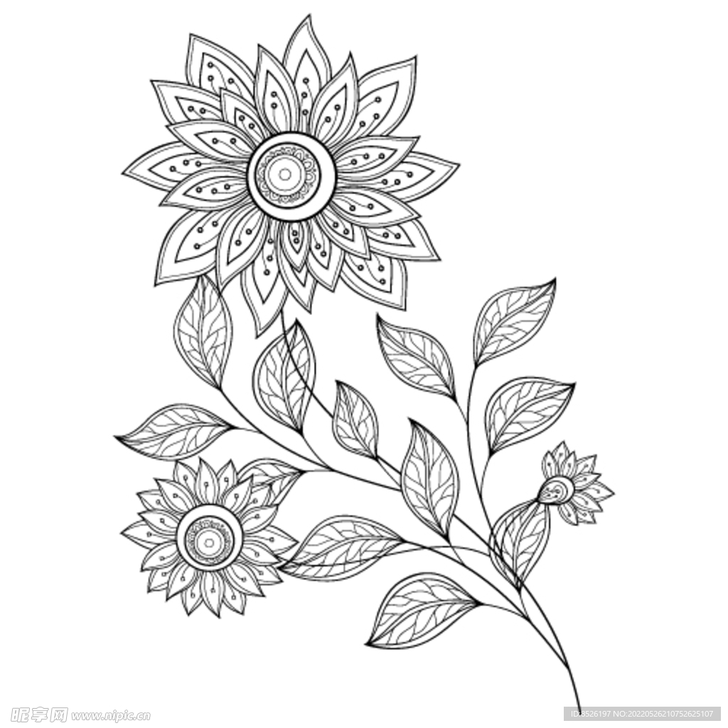 欧式花纹