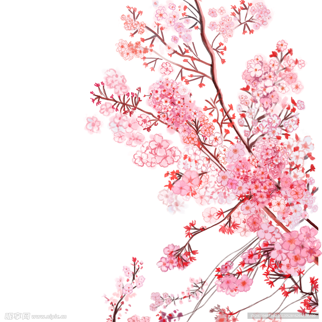 精美粉色桃花插画