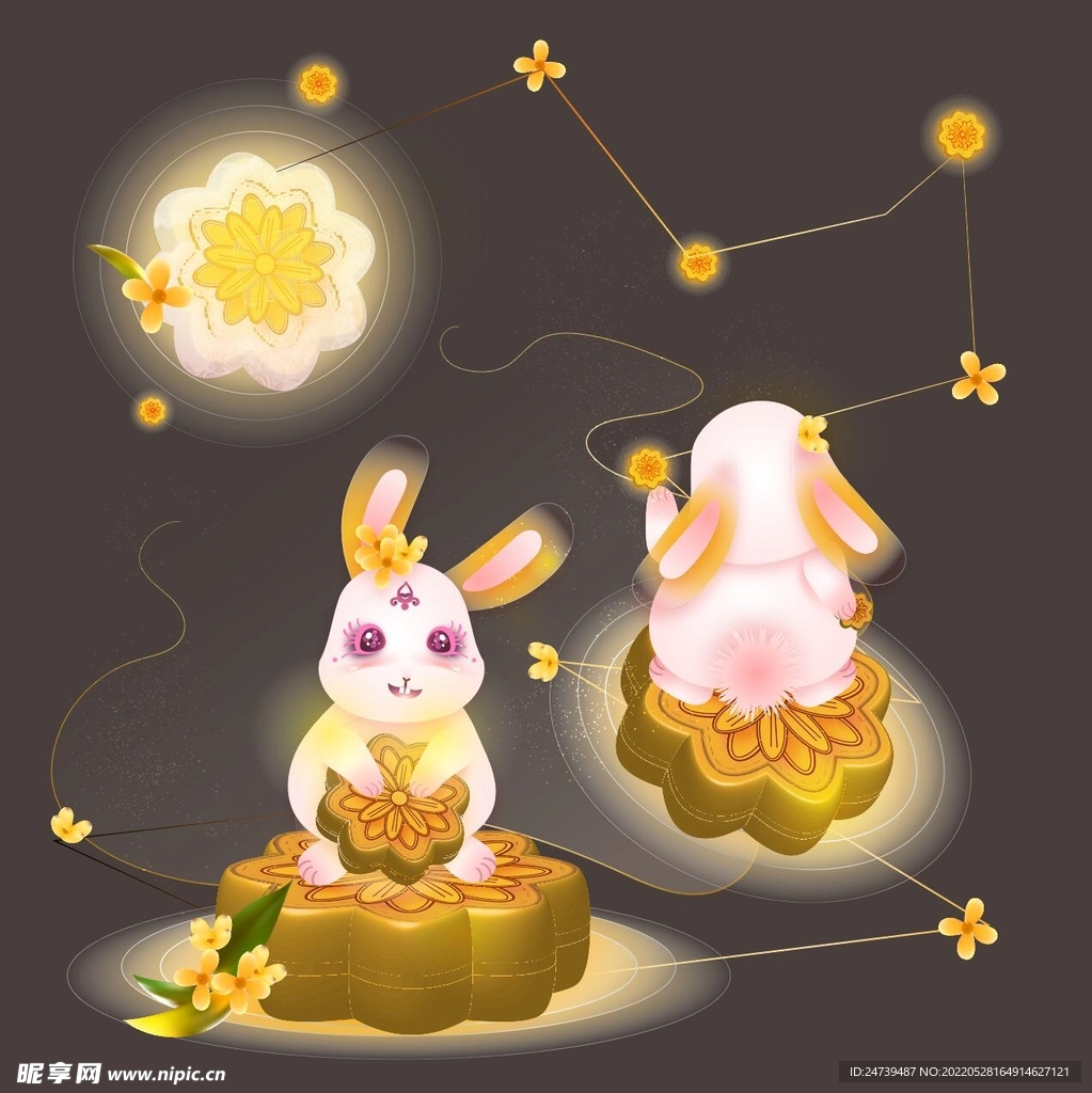 兔子