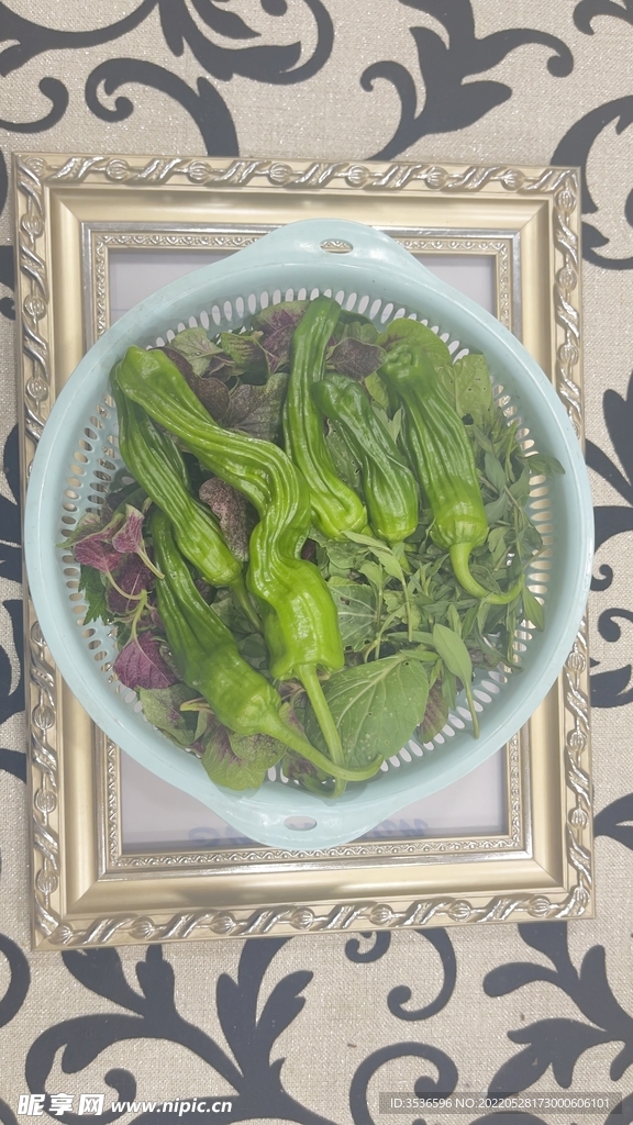 新鲜采摘的蔬菜