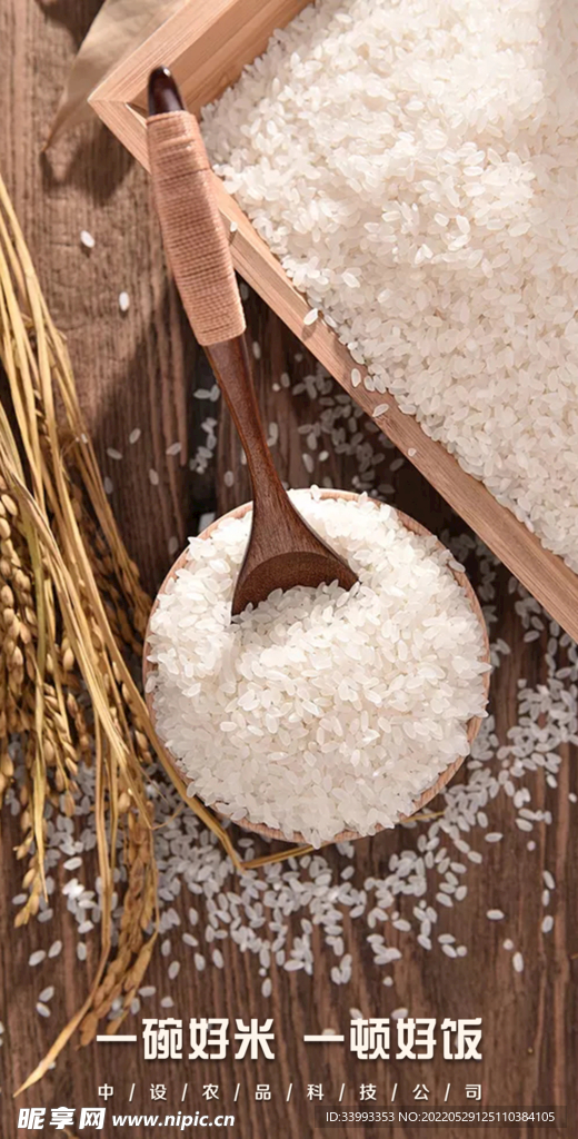 大米海报