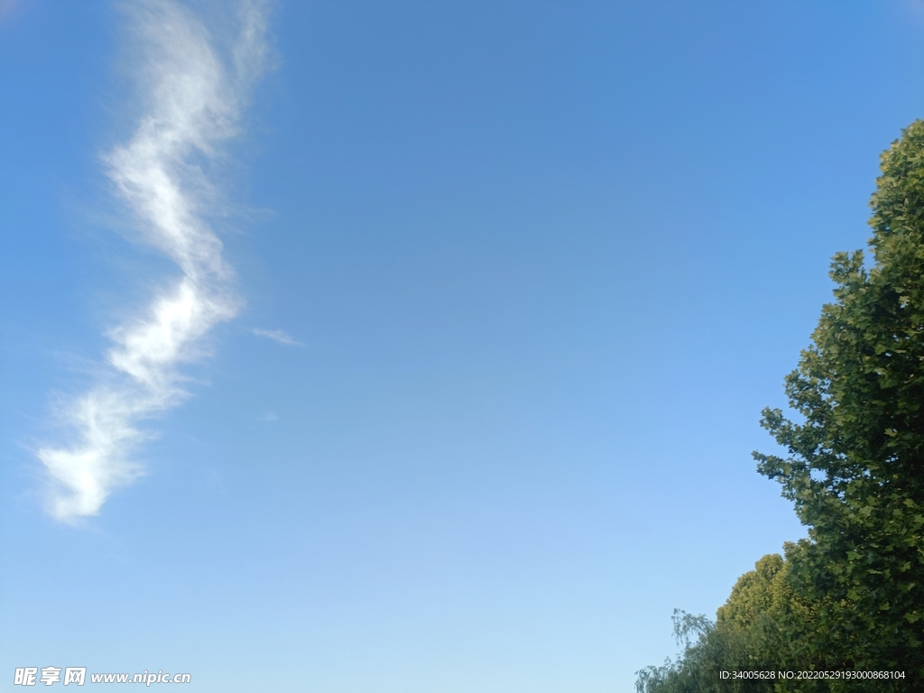 云天空树