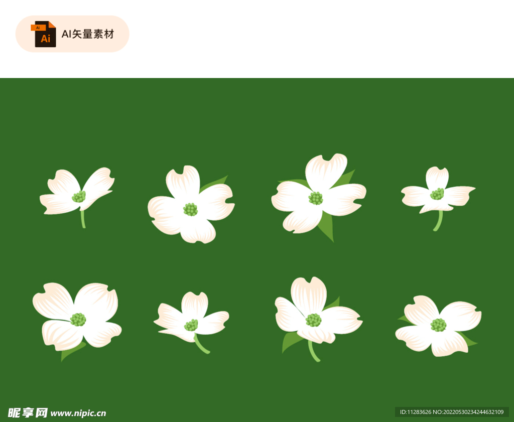 白色花瓣花朵素材