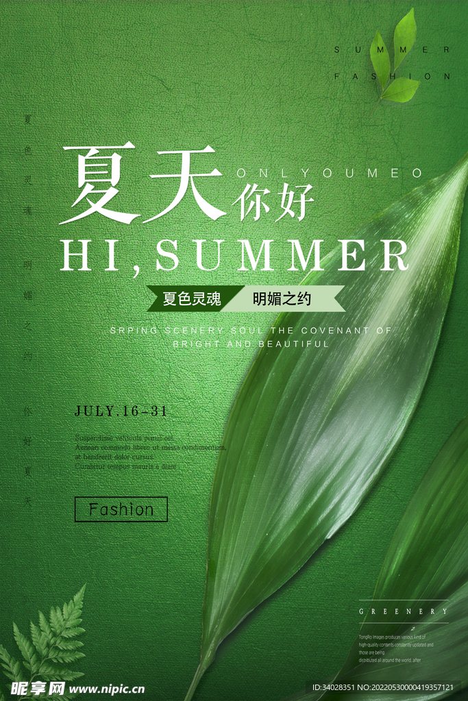 夏天你好