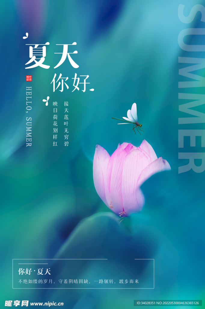 夏天你好