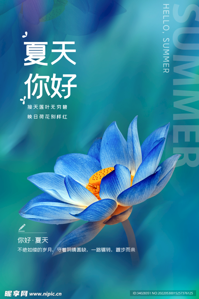 你好夏天