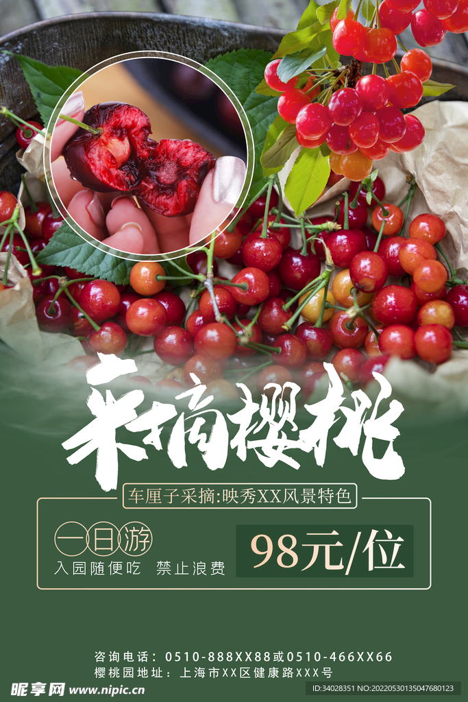樱桃海报