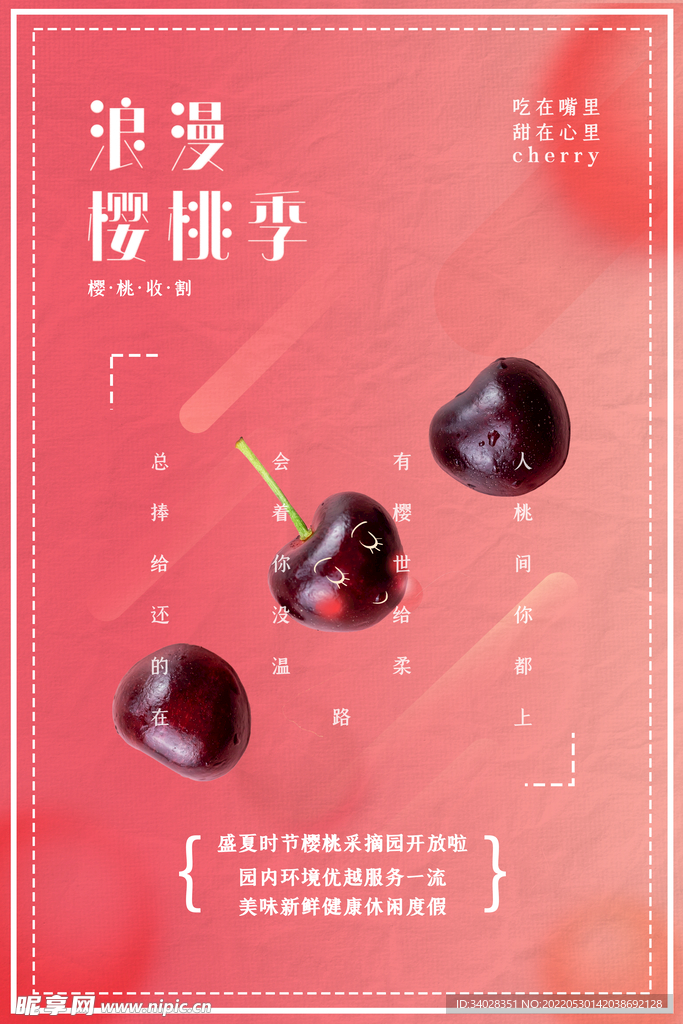 樱桃海报