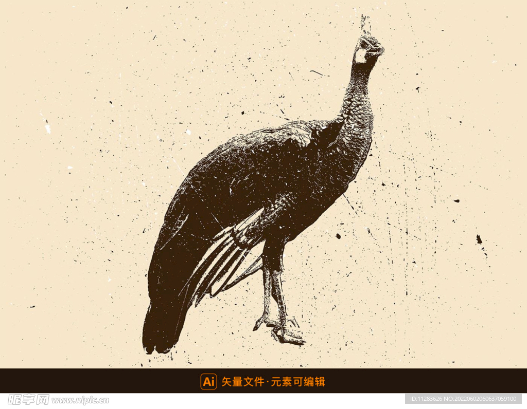 孔雀剪影矢量素材
