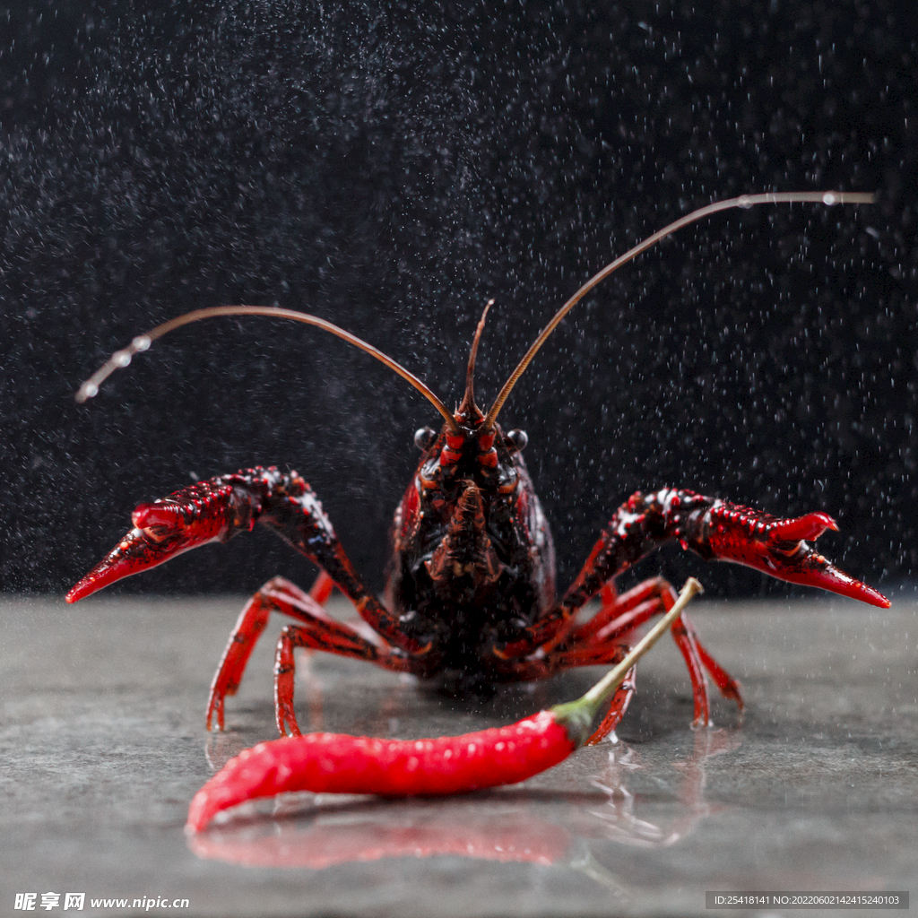 小龙虾